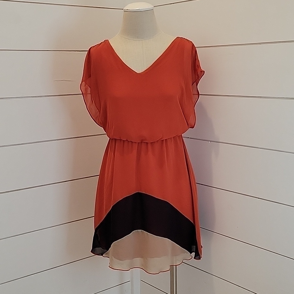 Sweet Storm mini dress small sheer with lining